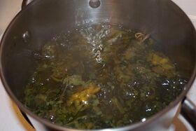 третман на проширени вени со лушпа